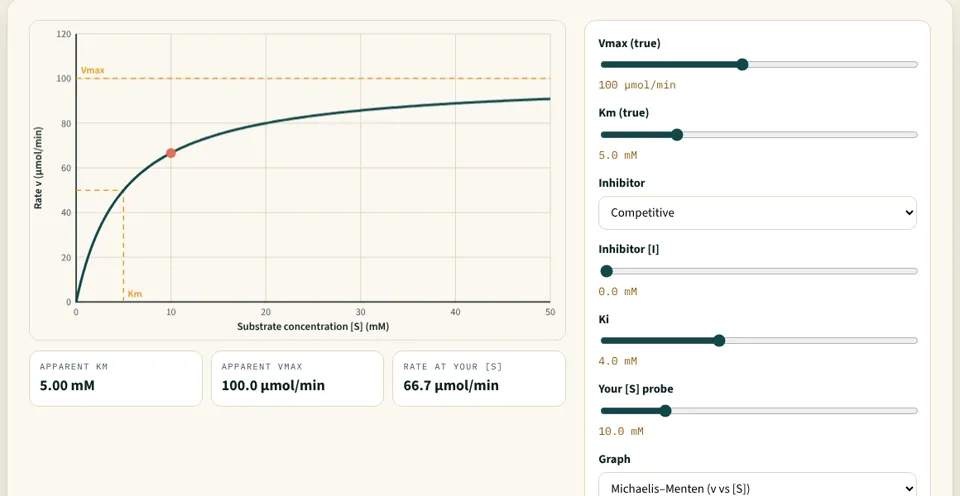 The Enzyme Kinetics Lab: a Michaelis–Menten curve with Vmax and Km marked, next to sliders for Vmax, Km and an inhibitor
